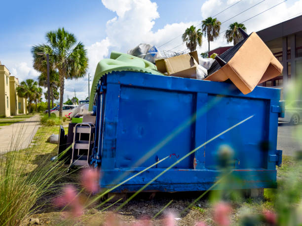 Demolition Debris Removal in Denmark, SC